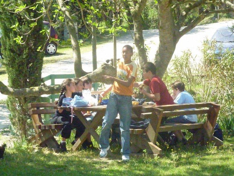 P1020835 [1600x1200].JPG